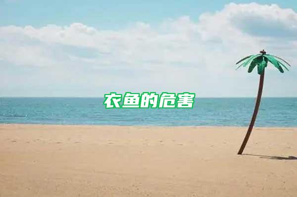 衣魚(yú)的危害