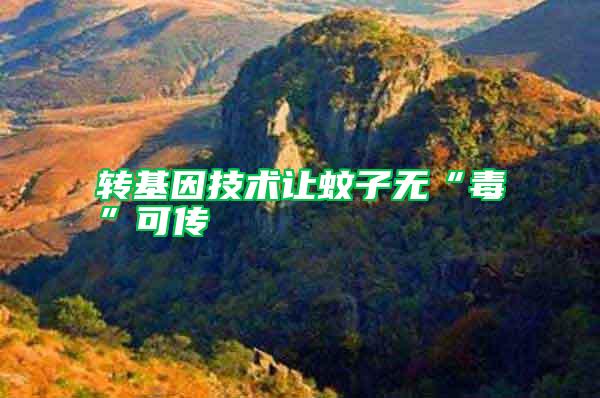 轉(zhuǎn)基因技術(shù)讓蚊子無“毒”可傳