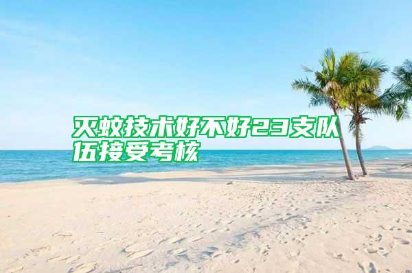 滅蚊技術好不好23支隊伍接受考核