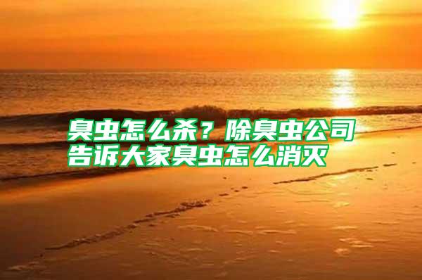 臭蟲怎么殺？除臭蟲公司告訴大家臭蟲怎么消滅