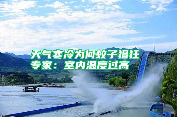天氣寒冷為何蚊子猖狂 專家：室內溫度過高