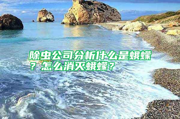 除蟲公司分析什么是蛾蠓？怎么消滅蛾蠓？