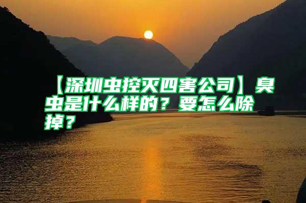 【深圳蟲控滅四害公司】臭蟲是什么樣的？要怎么除掉？