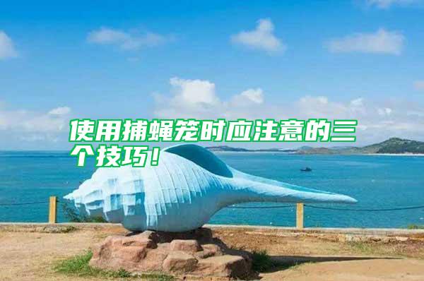 使用捕蠅籠時應注意的三個技巧！