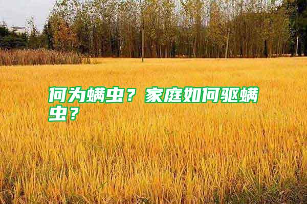 何為螨蟲？家庭如何驅螨蟲？