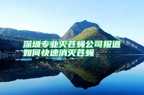 深圳專業(yè)滅蒼蠅公司報道如何快速消滅蒼蠅