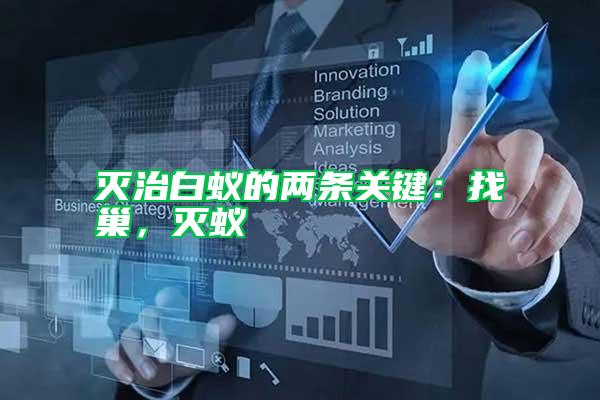 滅治白蟻的兩條關鍵：找巢，滅蟻