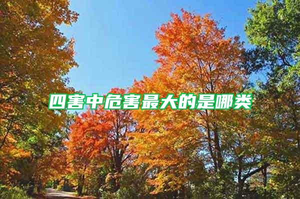 四害中危害最大的是哪類