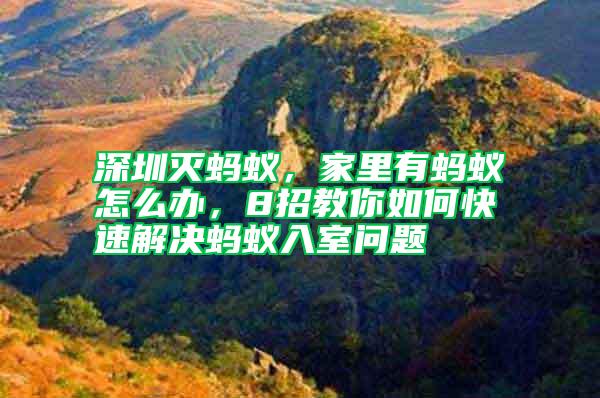 深圳滅螞蟻，家里有螞蟻怎么辦，8招教你如何快速解決螞蟻入室問題