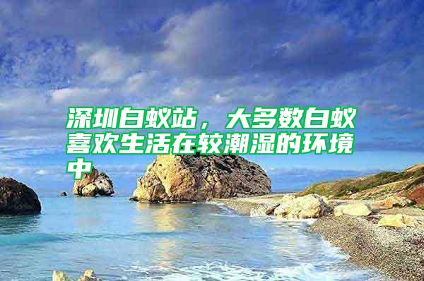 深圳白蟻站，大多數白蟻喜歡生活在較潮濕的環境中