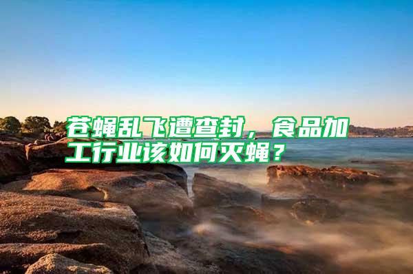 蒼蠅亂飛遭查封，食品加工行業(yè)該如何滅蠅？