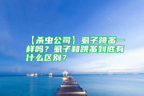 【殺蟲公司】虱子跳蚤一樣嗎？虱子和跳蚤到底有什么區別？