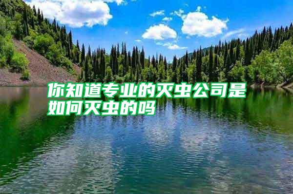 你知道專業的滅蟲公司是如何滅蟲的嗎