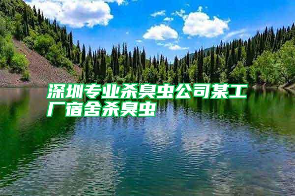 深圳專業殺臭蟲公司某工廠宿舍殺臭蟲