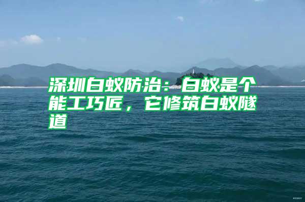 深圳白蟻防治：白蟻是個(gè)能工巧匠，它修筑白蟻隧道