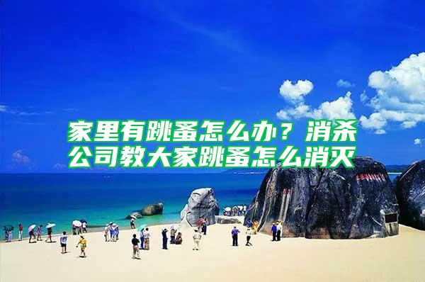 家里有跳蚤怎么辦？消殺公司教大家跳蚤怎么消滅