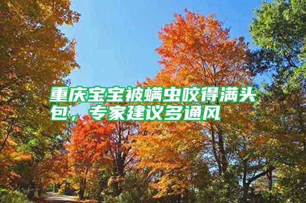 重慶寶寶被螨蟲咬得滿頭包，專家建議多通風(fēng)