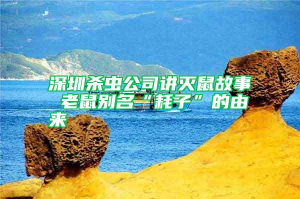 深圳殺蟲(chóng)公司講滅鼠故事 老鼠別名“耗子”的由來(lái)
