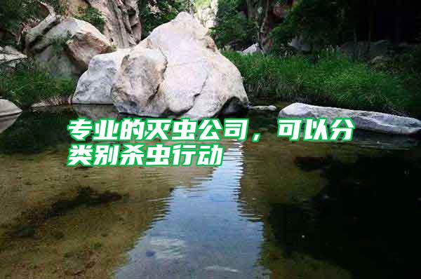 專業的滅蟲公司，可以分類別殺蟲行動