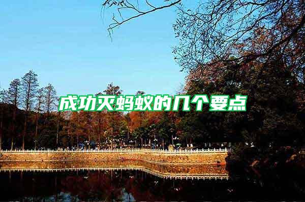 成功滅螞蟻的幾個要點