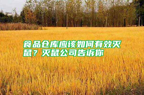 食品倉庫應該如何有效滅鼠？滅鼠公司告訴你