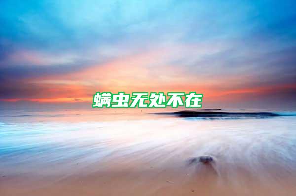 螨蟲無處不在