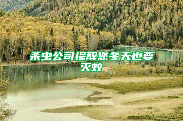 殺蟲公司提醒您冬天也要滅蚊