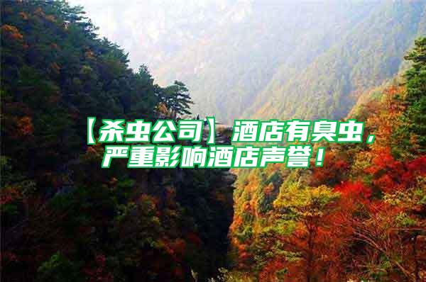 【殺蟲公司】酒店有臭蟲，嚴重影響酒店聲譽！