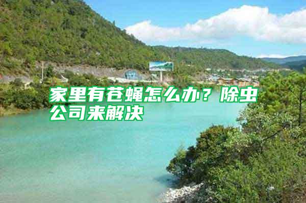 家里有蒼蠅怎么辦？除蟲公司來解決