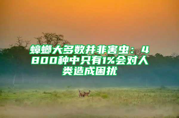 蟑螂大多數(shù)并非害蟲：4800種中只有1%會對人類造成困擾