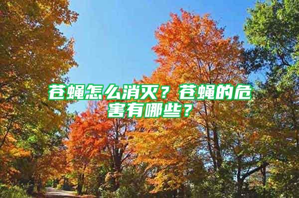 蒼蠅怎么消滅？蒼蠅的危害有哪些？