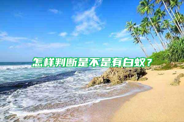 怎樣判斷是不是有白蟻？