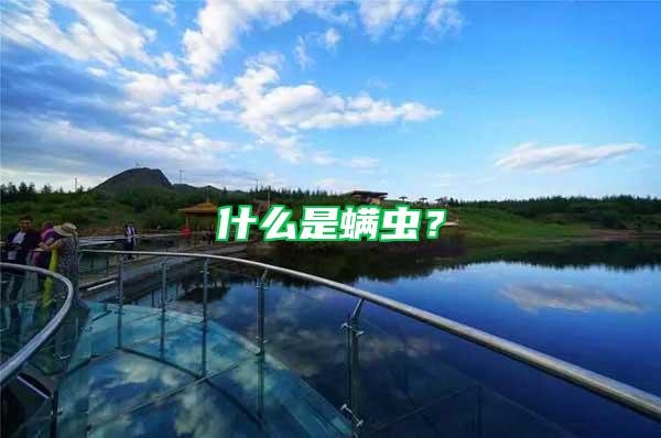 什么是螨蟲？