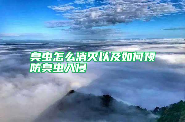 臭蟲怎么消滅以及如何預防臭蟲入侵