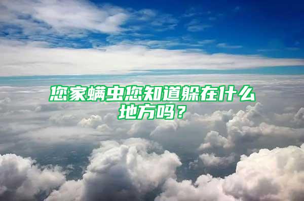 您家螨蟲您知道躲在什么地方嗎？