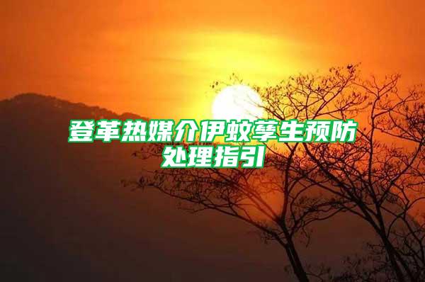 登革熱媒介伊蚊孳生預防處理指引
