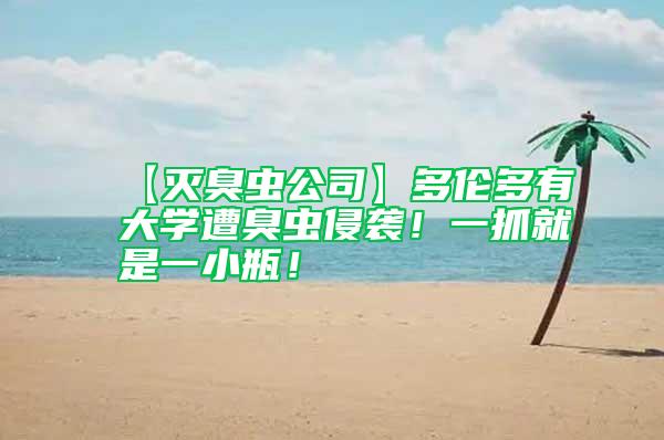 【滅臭蟲公司】多倫多有大學遭臭蟲侵襲！一抓就是一小瓶！