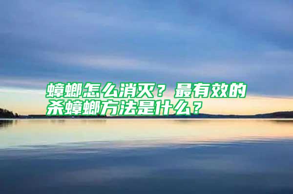 蟑螂怎么消滅？最有效的殺蟑螂方法是什么？