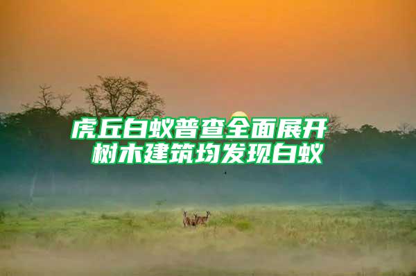 虎丘白蟻普查全面展開 樹木建筑均發(fā)現(xiàn)白蟻