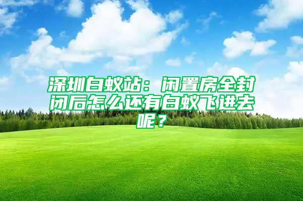 深圳白蟻站：閑置房全封閉后怎么還有白蟻飛進去呢？