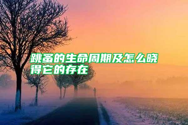 跳蚤的生命周期及怎么曉得它的存在