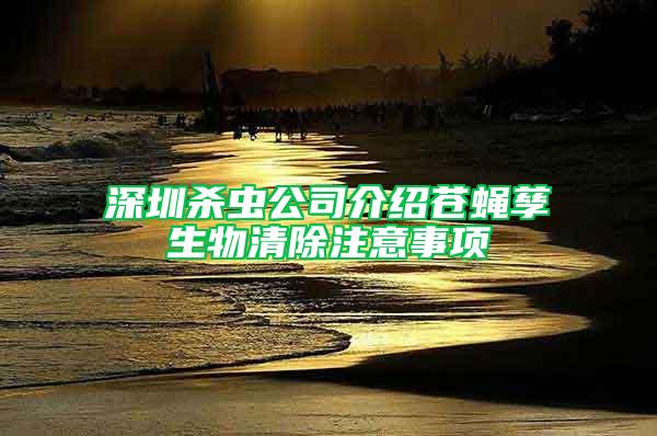 深圳殺蟲公司介紹蒼蠅孳生物清除注意事項