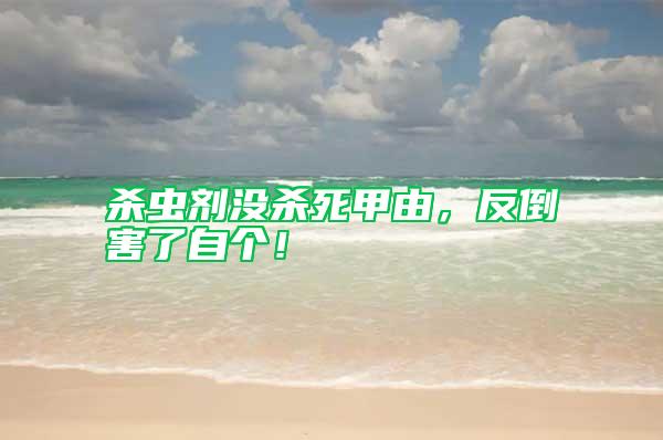 殺蟲劑沒殺死甲由，反倒害了自個！