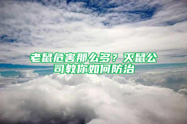 老鼠危害那么多？滅鼠公司教你如何防治