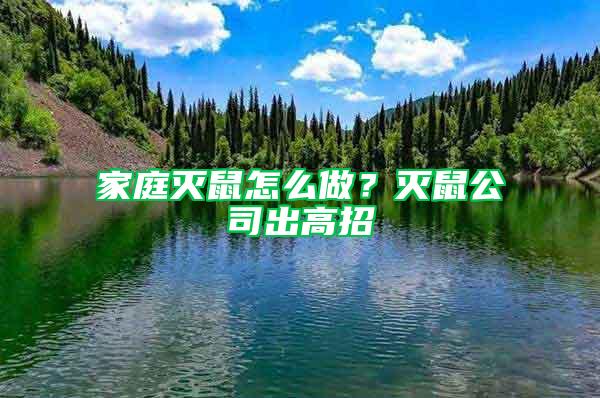 家庭滅鼠怎么做？滅鼠公司出高招