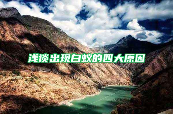淺談出現白蟻的四大原因