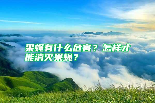 果蠅有什么危害？怎樣才能消滅果蠅？