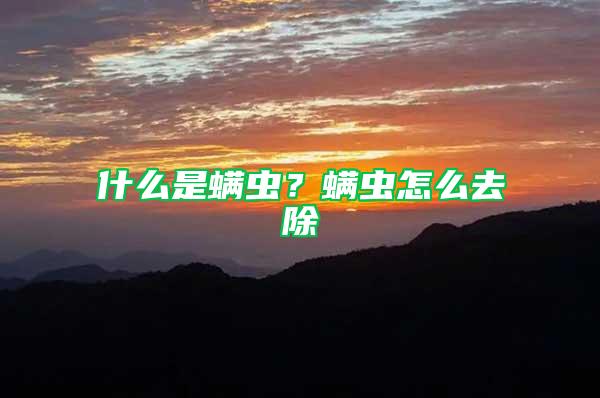 什么是螨蟲？螨蟲怎么去除