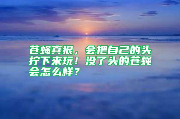 蒼蠅真狠，會把自己的頭擰下來玩！沒了頭的蒼蠅會怎么樣？
