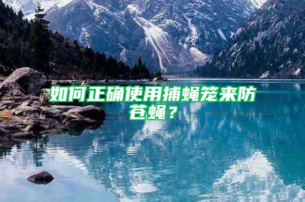 如何正確使用捕蠅籠來防蒼蠅？